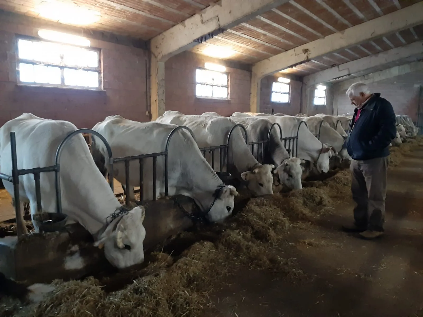 azienda-agricola-casaletto-2